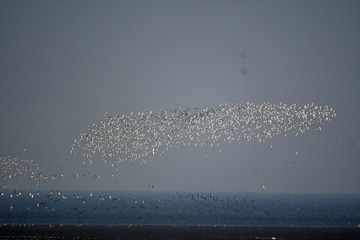 IMG_20200417_165943