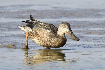 _DSC7438