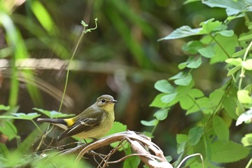 DSC_8205_2
