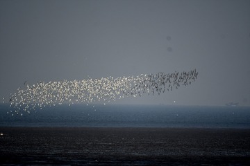 IMG_20200417_165907