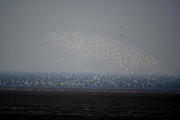 IMG_20200417_165814