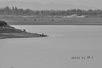 _DSC2573
