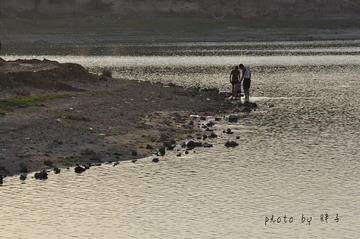 _DSC2591