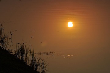 _DSC4570