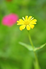 _DSC4657_conew1