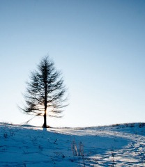 _DSC0347.jpg