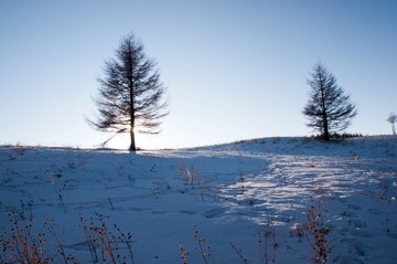 _DSC0356.jpg