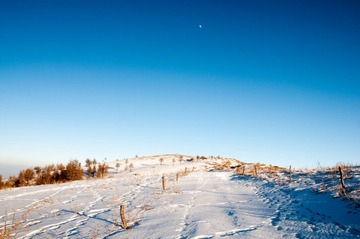_DSC0364.jpg
