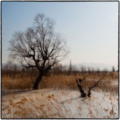 remember-57.jpg