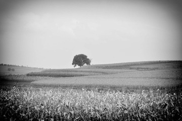 DSC_9116.jpg