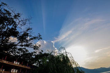 _DSC0156.jpg