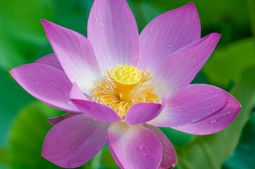 _DSC0070-编辑