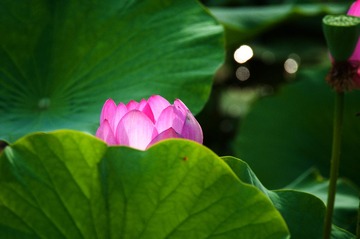 _DSC0017-编辑