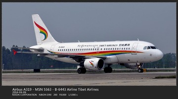 Airbus A319 - MSN 5563 - B-6443 Airline Tibet Airlines