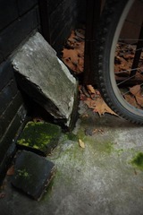 20120321_2692.jpg