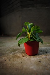 20120321_2697.jpg