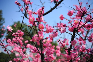 20120325_3053.jpg
