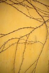 20120325_3074.jpg