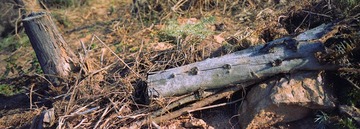 inki20130308-11.jpg
