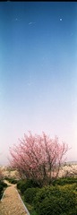 inki20130308-13.jpg