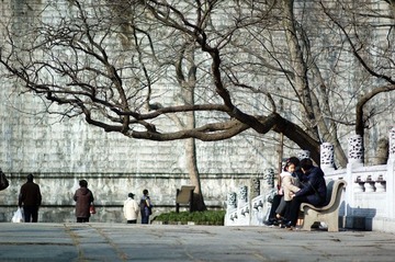 20100217_meihuashan_5969