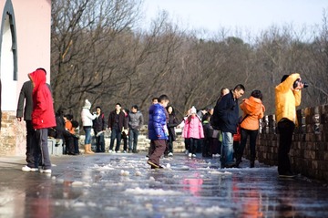 20100217_meihuashan_6028