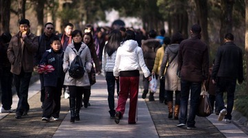 20100217_meihuashan_5963