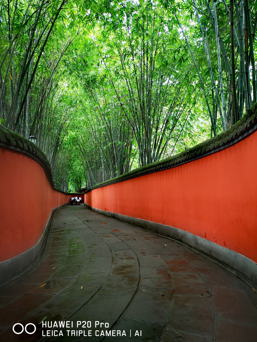 拍于成都武侯祠内的红色长廊,远处茂密的竹林与红墙辉映