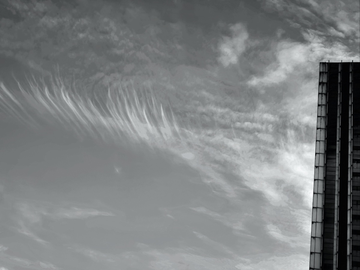 羽状云 - 王桂节