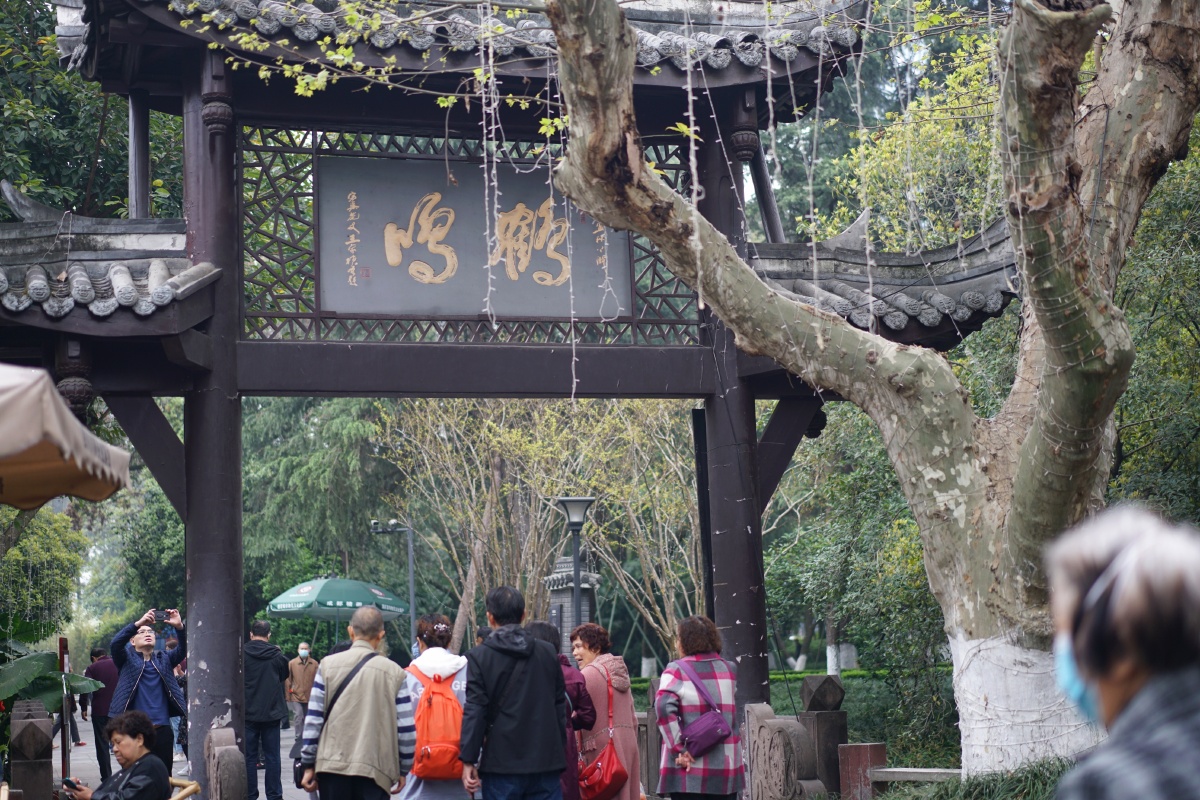 成都人民公园内的鹤鸣茶馆具有百年以上历史是成都人闲暇之余茗茶摆