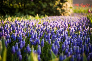 IMG_3521-2
