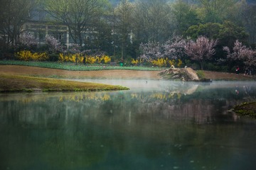 IMG_3494-2