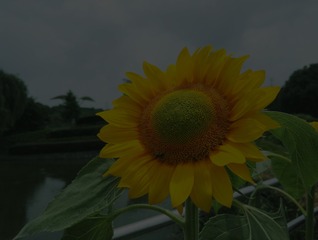 1561238