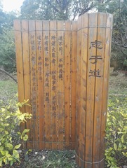 2520244