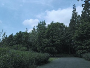 3294010