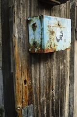 _DSC0203.JPG