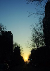 _DSC0267.JPG