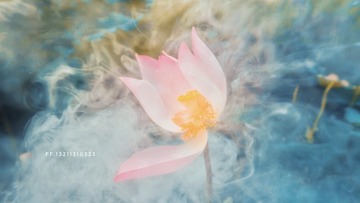 001