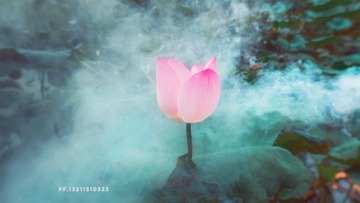 001