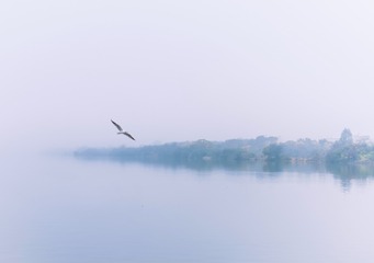 74F8620F-B502-45FD-B488-53D48EB4F93C/L0/001