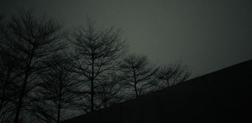 DPP_9