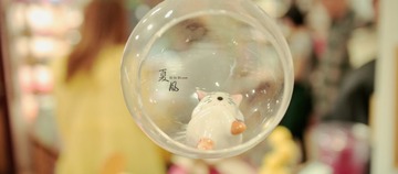 IB8