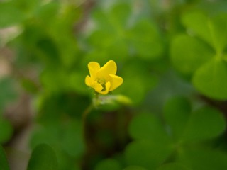 20140221-P2211533