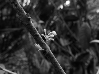 20140224-P2241839