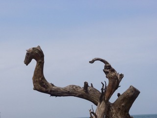 20140203-P2030093