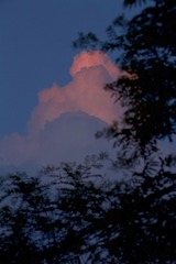 3602F4F8-0E68-4460-AD41-375CC7ED505D/L0/001