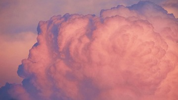 0CA33962-F762-49B0-B239-C663D6765DE1/L0/001
