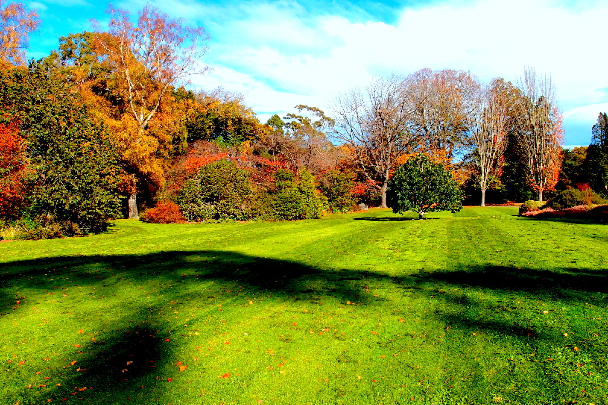 新西兰基督城海德公园