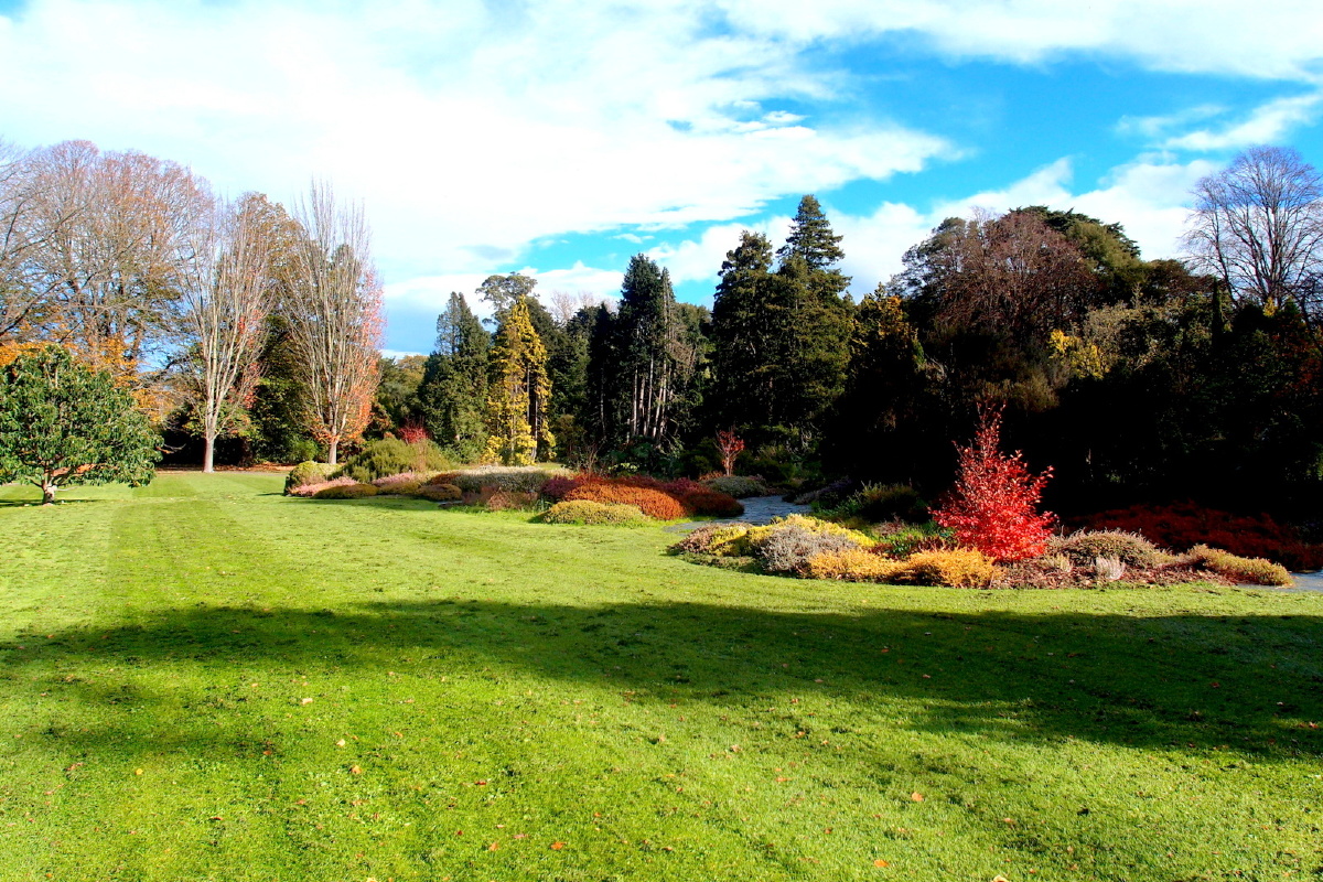 新西兰基督城海德公园
