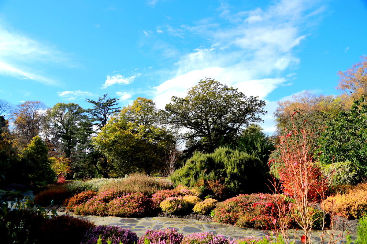 新西兰基督城海德公园 - 长春蓝枫 - 图虫